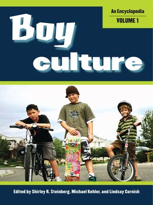 cover image of Boy Culture